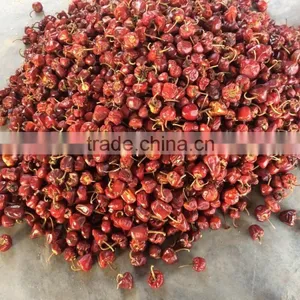 Dry Round Red Chilli From India thumbnail-3