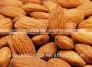 Almonds thumbnail-2