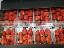 FRESH STRAWBERRY thumbnail-3