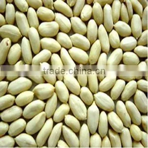 Good Qality Chinese Peanuts Long Type 24/28 thumbnail-1