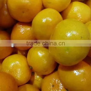 Noney Baby Orange thumbnail-1