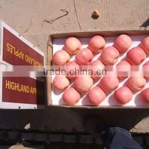 Fuji Apple thumbnail-1