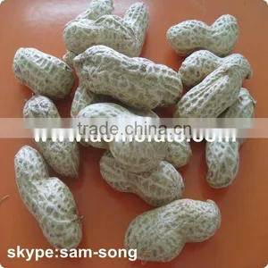 Chinese Roasted Peanut in Shell thumbnail-1