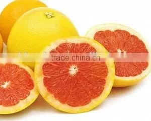 Natural Water Soluble Yuzu Powder /Yuzu Extract Powder/Yuzu Extract thumbnail-2