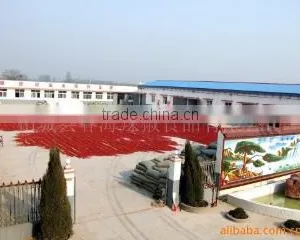 Zhecheng County Chunhai Chilli Foodstuff Co., Ltd. company overview - view 2 thumbnail