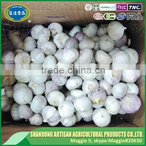 Low Price Fresh Solo Garlic thumbnail-3