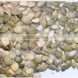 Factory Export Organic Pumpkin Shine Skine Kernels thumbnail-2