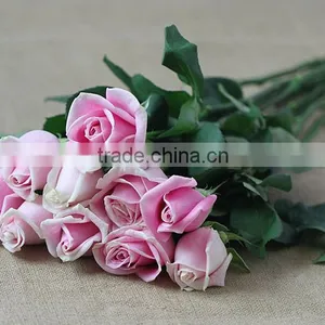 Supply Various Colors Fresh Cut Flowers Light up Rose From Plants Base thumbnail-2