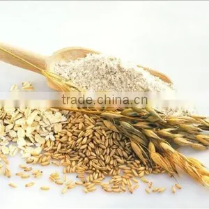 Nutrition Manmade Rice Machine/production Line thumbnail-2