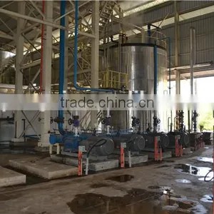 Singapore Wilmar Partner 20TPH Palm Oil Plant thumbnail-1