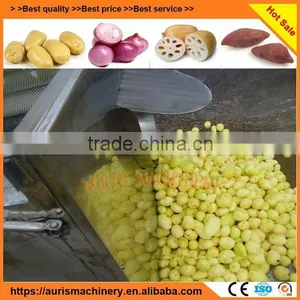 Hot Selling Automatic Sweet Potato Radish Fruit and Vegetable Brush Washer thumbnail-3