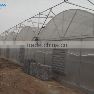 Cheap Easily Inatalled Plastic Film Vegetable Greenhouse thumbnail-2