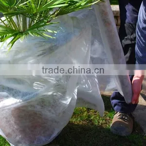 PP Non-woven Fabric ,mulch Fleece Ground Cover for Rose thumbnail-4