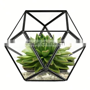Yiwu Direct Wholesale,cheap Price Cacti Holder Case & Glass Terrarium Diamond thumbnail-2