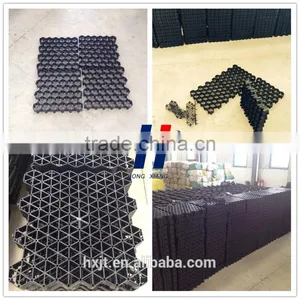 Grass Grid Used in Landscaping Plastic Grass Pavers Geogrids thumbnail-3
