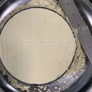 Factory Bulk Price Soy Protein Isolate 90% for Meat Sausages Beverage Dairy thumbnail-1