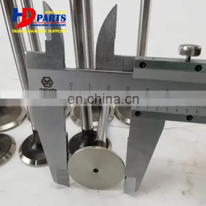 Excavator Diesel Engine BF4M2012 BF6M2012 TCD2012 L04 2V Valve Intake And Valve Exhaust thumbnail-5
