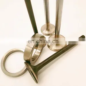 21-4N+4Cr10Si2IVlo Chromed High Quality Intake Exhaust Engine Valve For Dachai 24D 6DE1 B14J+ DCB110 1007016-24D 1007011-24D thumbnail-2