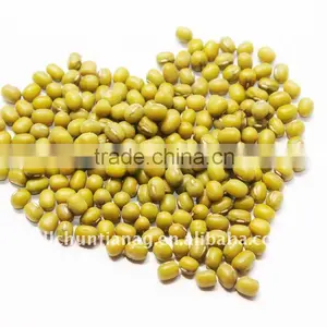 Organic Green Mung Bean thumbnail-1