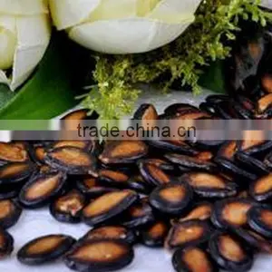 Dried Melon Seeds thumbnail-1