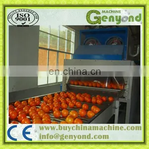 Citrus Fruit Waxing Machine thumbnail-2