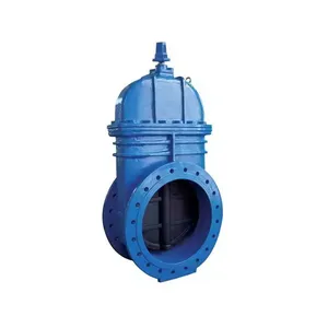DN350-DN800 Big Size Resilient Seated Gate Valve thumbnail-1