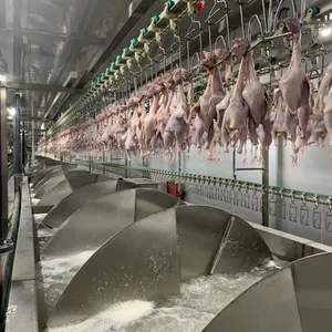 Chicken Slaughter Machine Duck Slaughter Equipment Pigeon Slaughter Machine Line thumbnail-1