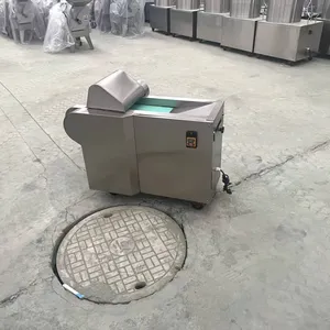 Commercial Grade 304 Stainless Steel Vegetable Cutting Machine With 2HP Motor thumbnail-5