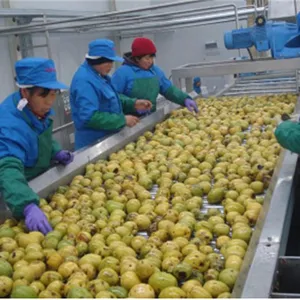 Citrus and Similar Fruits Concentrated Juice Processing Line thumbnail-2