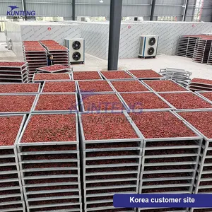 Energy Saving Mushroom Agaricus Bisporus Oyster Fungi Agrocybe Aegerita Drying Machine EPC thumbnail-3