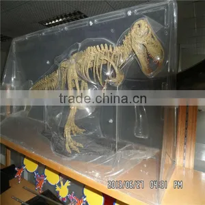 Plastic Model Specimen Package Box thumbnail-1