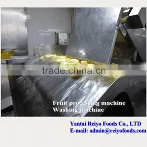 Impurity Removing and Cleaning Machine / Fruits and Vegetables Cleaning Machine thumbnail-5
