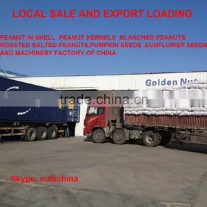 Chinese Blanched Peanuts 25/29 (VIRGINIA TYPE) thumbnail-6