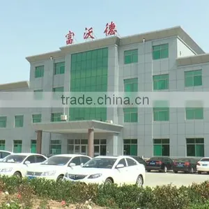 Shandong Guanxian Forward Composite Material Co., Ltd. company overview - view 1 thumbnail