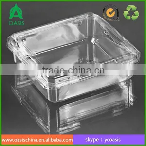Hinged Lid Plastic Fruit and Vegetable Box thumbnail-1