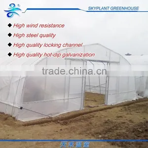 Single-span Greenhouse for Vegetables, Plastic Flim Greenhouse, Low Cost thumbnail-4