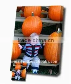 Mini Color DIY Inkjet Cotton Canvas Frame Letter Size thumbnail-1