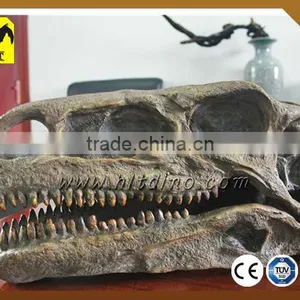 HLT Dinosaur Theme Park Dinosaur Replica Dinosaur Skull Sale thumbnail-1