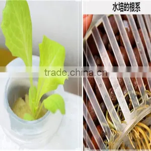 45*45mm Soilless Cultivation Out-planting Basket Hydroponic Basket Cup Hydroponics; Water Culture thumbnail-4