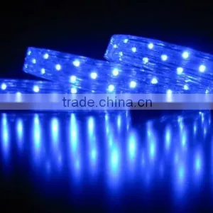 3528 Smd Dc220 60pcs Led Rope Light Ip67 Super Bright Blue Color thumbnail-1