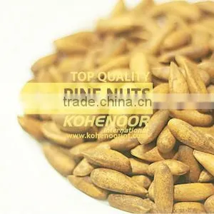 Pine Nuts in Shell thumbnail-1