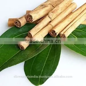 Cinnamon Leaf Oil From India thumbnail-1
