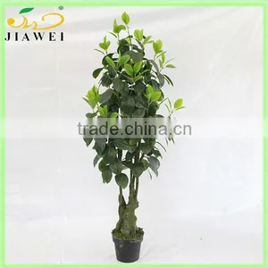 Decorative Plastic Tree thumbnail-1