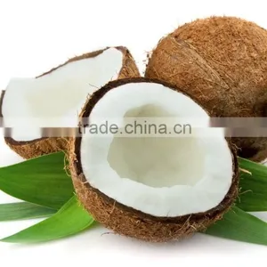 VCO Standard New Model High Quality Virgin Coconut Oil Filter Centrifuge thumbnail-1