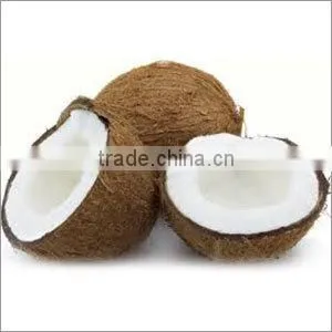 Dry Semi Husked Coconut thumbnail-1