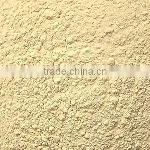Dehydrated Garlic Powder thumbnail-1