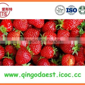 Bulk High Quality 25-35mm Chinese Fresh Strawberry thumbnail-4