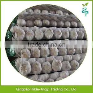 High Quality Chinese Garlic Price per Ton thumbnail-1