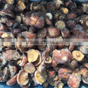 2015 Low Price Frozen Suillus Granulatus thumbnail-3