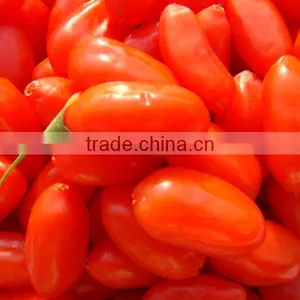 Fresh Goji Juice Concentrate thumbnail-2